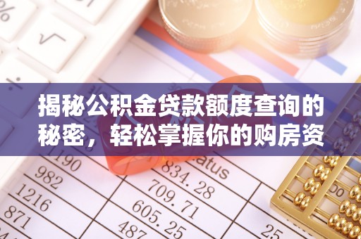 大涌揭秘公积金贷款额度查询的秘密，轻松掌握你的购房资金