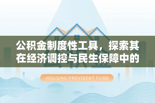 大涌公积金制度性工具，探索其在经济调控与民生保障中的重要作用