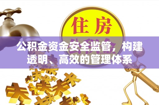 大涌公积金资金安全监管，构建透明、高效的管理体系